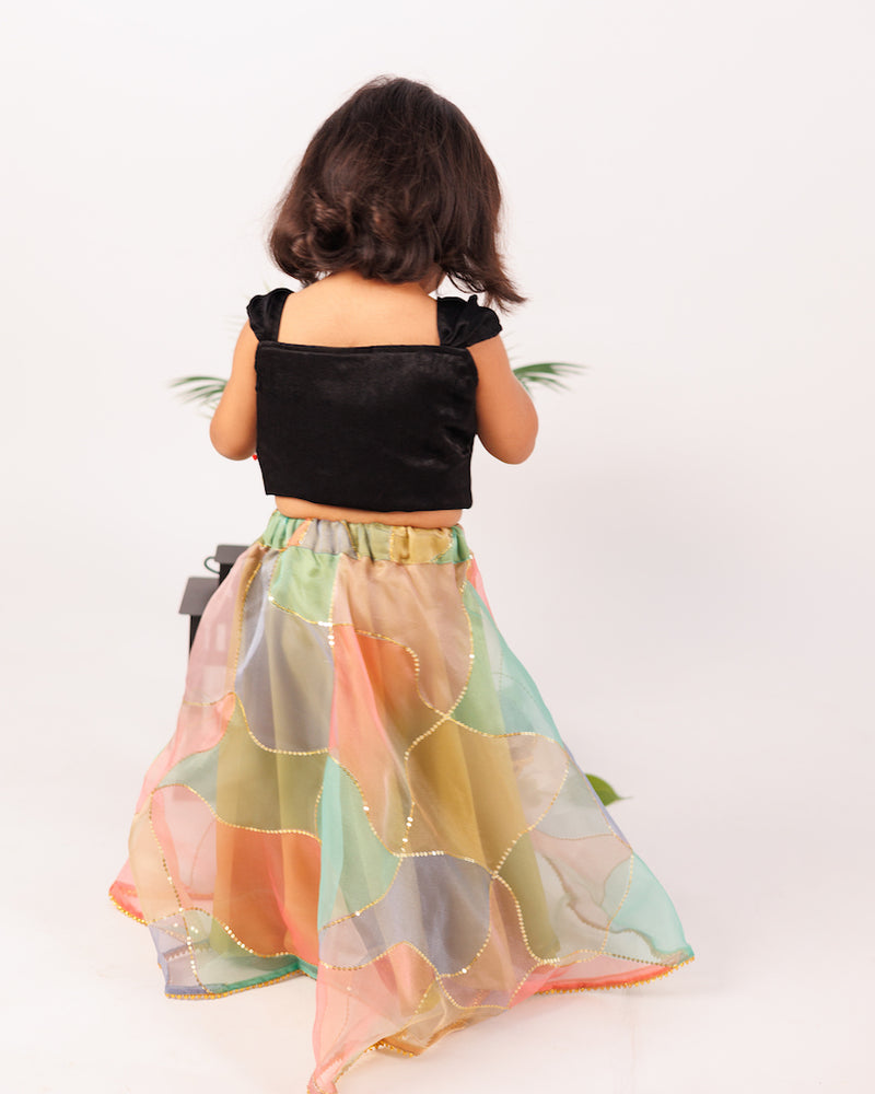 EXP - Black crop top and multicolour Organza skirt