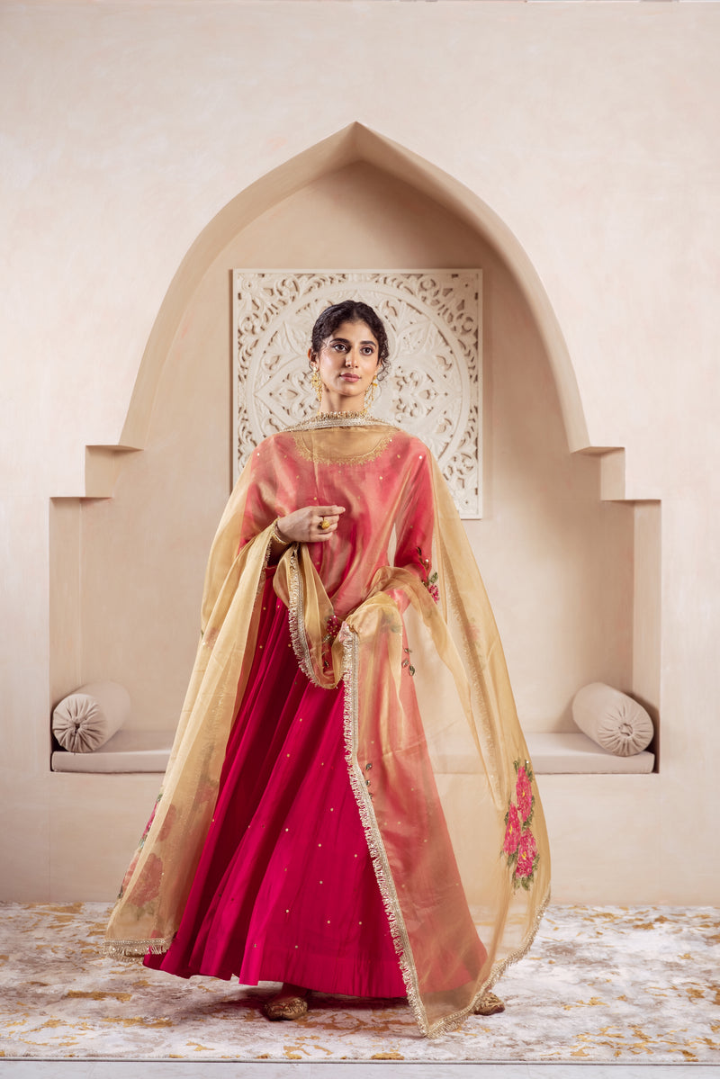GULNAZ Rani hand painted Anarkali set