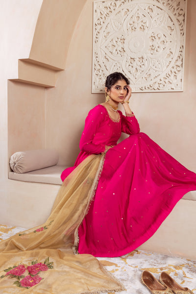 GULNAZ Rani hand painted Anarkali set