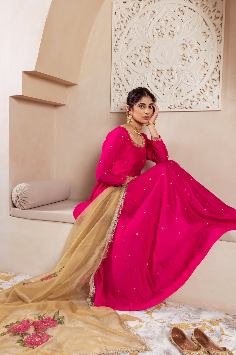 GULNAZ Rani hand painted Anarkali set