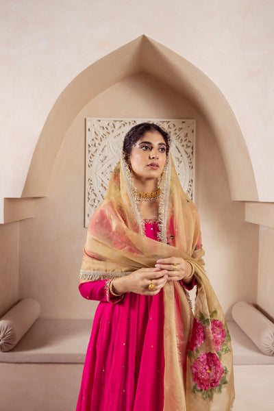 GULNAZ Rani hand painted Anarkali set
