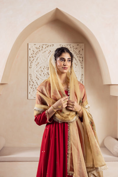 GULNAZ Maroon hand painted Anarkali set