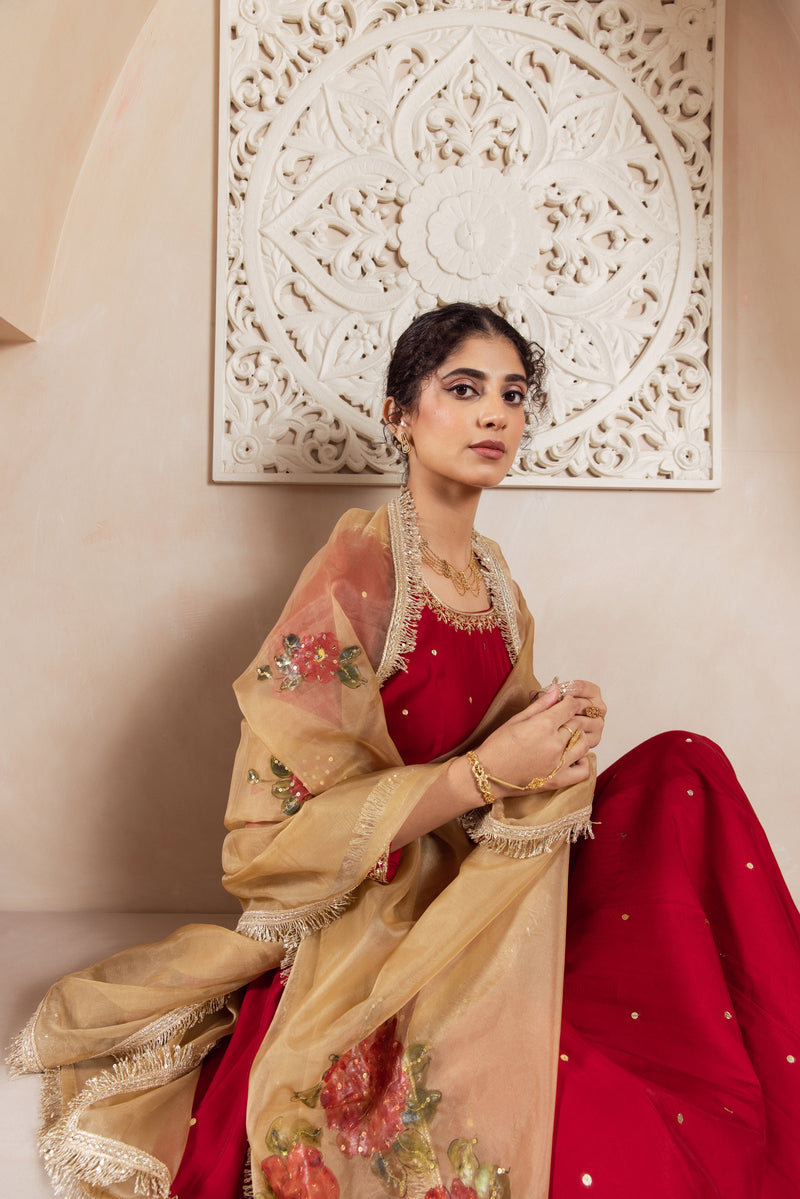 GULNAZ Maroon hand painted Anarkali set