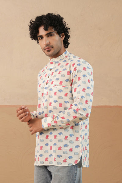 Pink Blue Multi Elephant Short Kurta