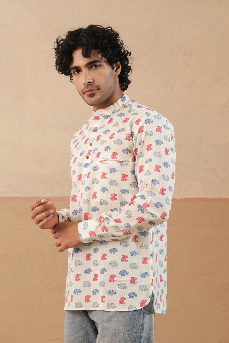 Pink Blue Multi Elephant Short Kurta
