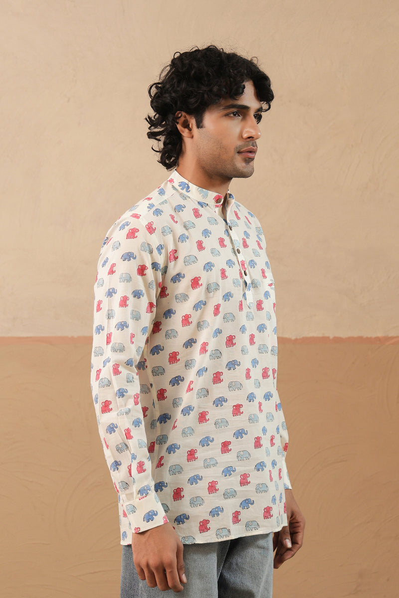 Pink Blue Multi Elephant Short Kurta