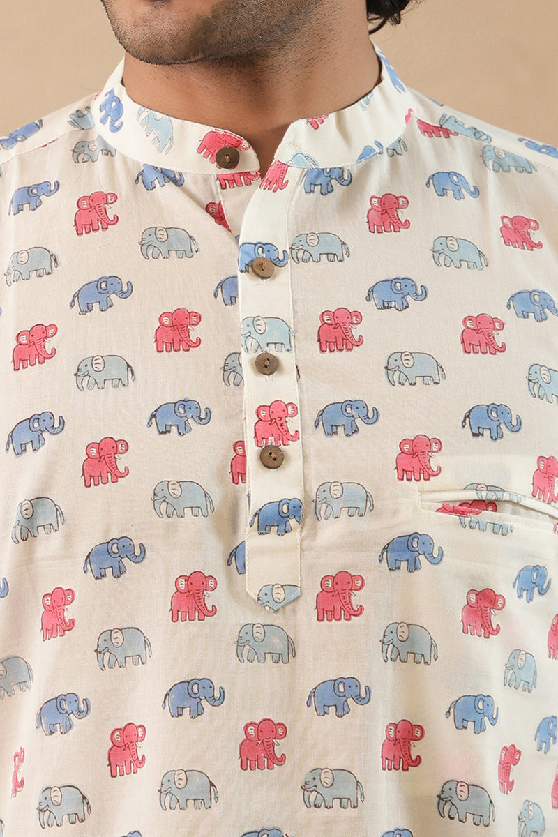 Pink Blue Multi Elephant Short Kurta