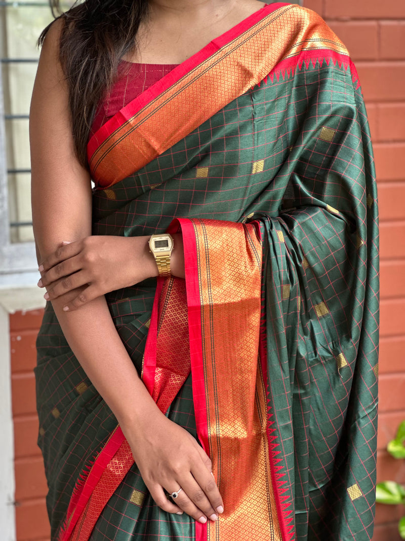 EXP - Sita - Mehandi Green