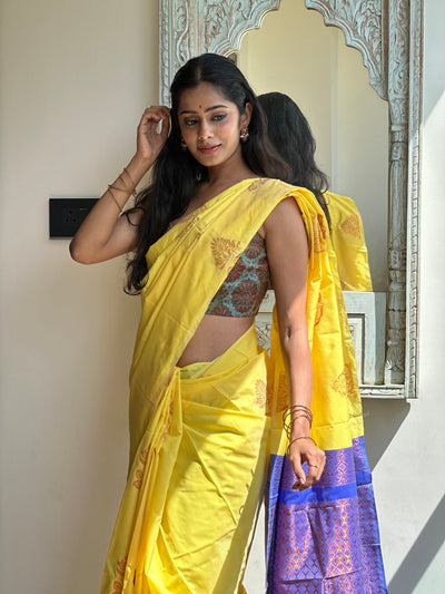 EXP -  Varshika Yellow