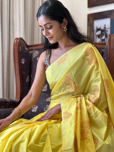 EXP -  Varshika Yellow