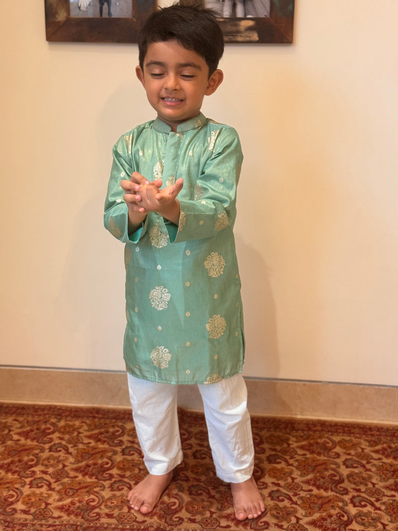 EXP - Krish - Mint Silk