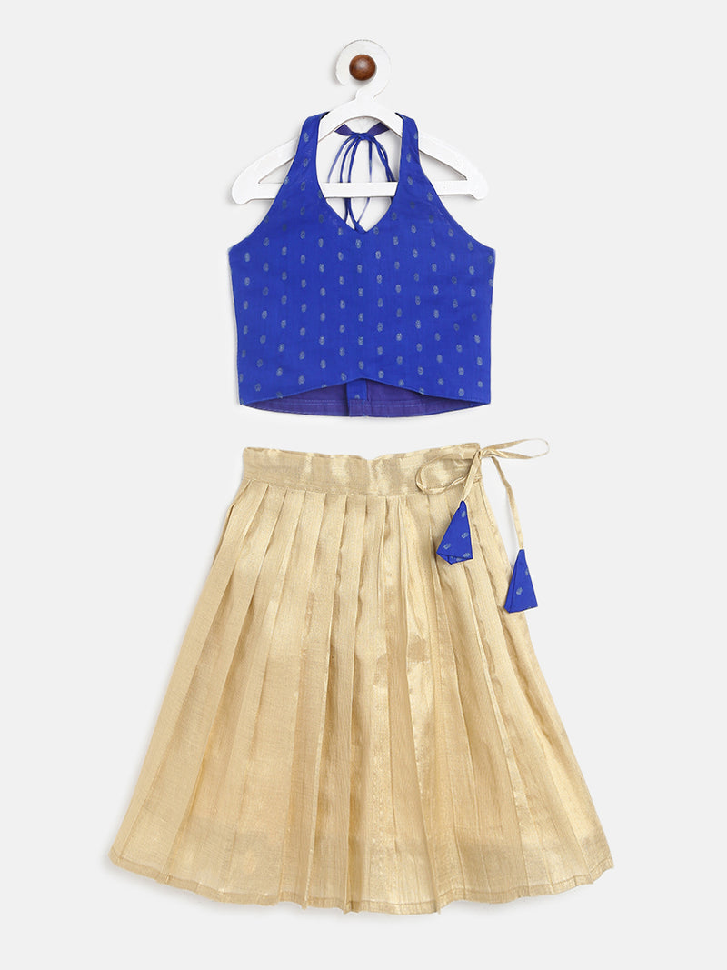 EXP - Blue Crop Top and Light Gold Skirt