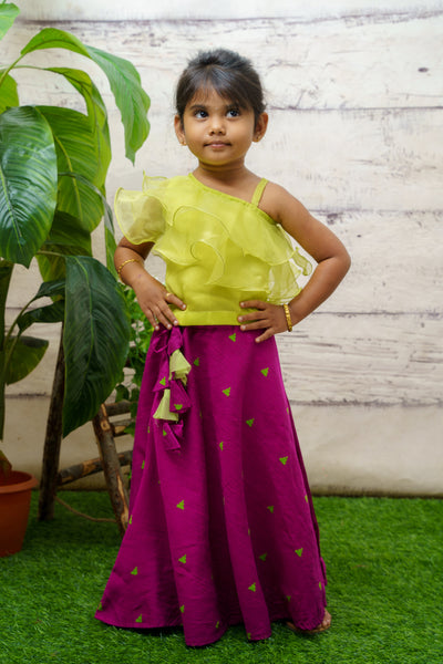 EXP - Green Organza Layered Crop Top and Purple Dupion Skirt