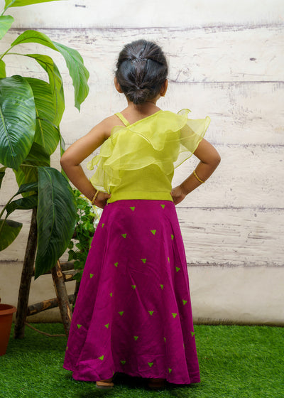 EXP - Green Organza Layered Crop Top and Purple Dupion Skirt