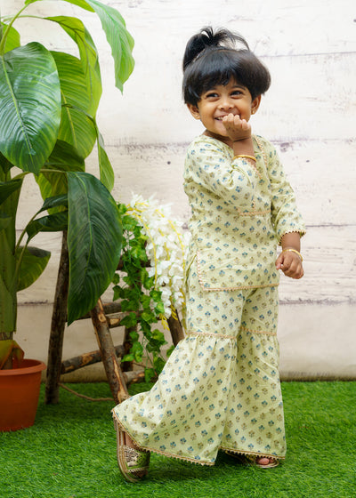 EXP - Printed Rayon Top and Sharara Pant - Green