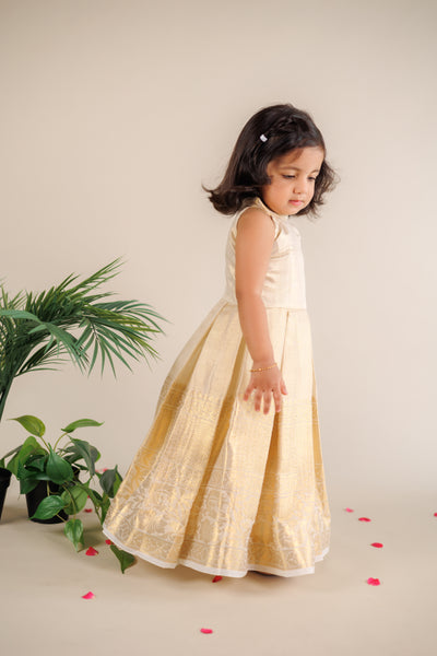 Aadhaya Kids fit and flare dress