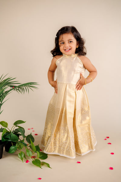 Aadhaya Kids fit and flare dress