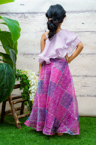EXP - Lavender crop top and multicolour Organza skirt