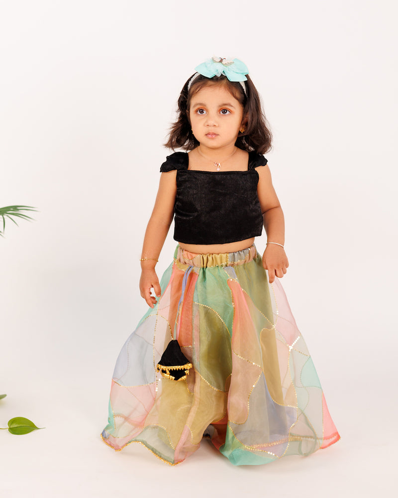 EXP - Black crop top and multicolour Organza skirt