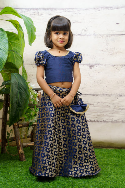 EXP - Blue Benarasi Crop top & Skirt