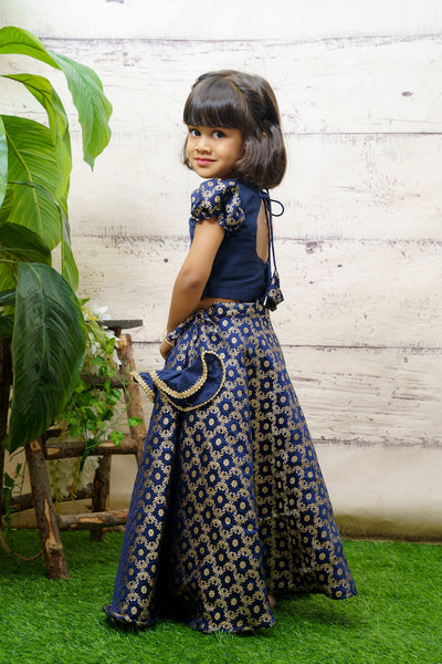 EXP - Blue Benarasi Crop top & Skirt