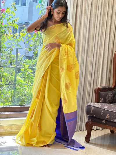 EXP -  Varshika Yellow
