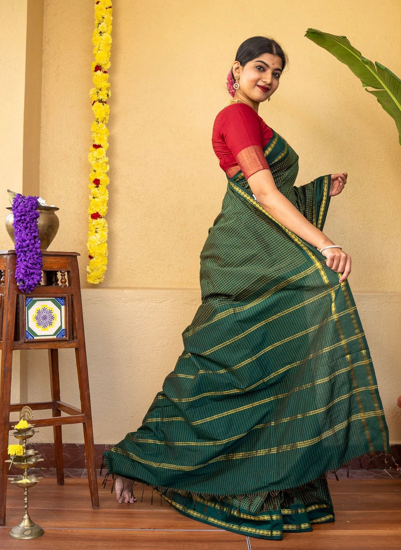 EXP - Chitralekha Green