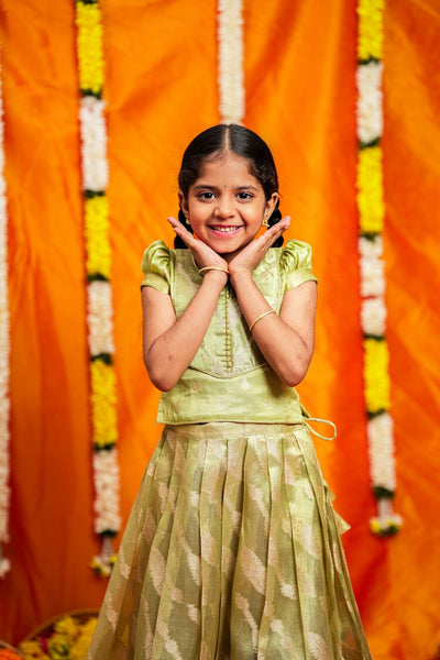 Aalaya Green organza lehenga mini