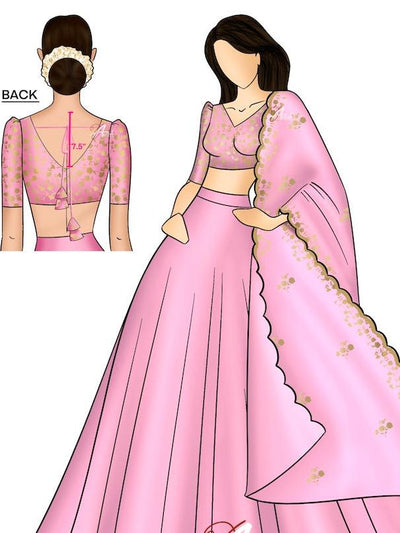 EXP - Zaara - Baby Pink Crop Top and Skirt