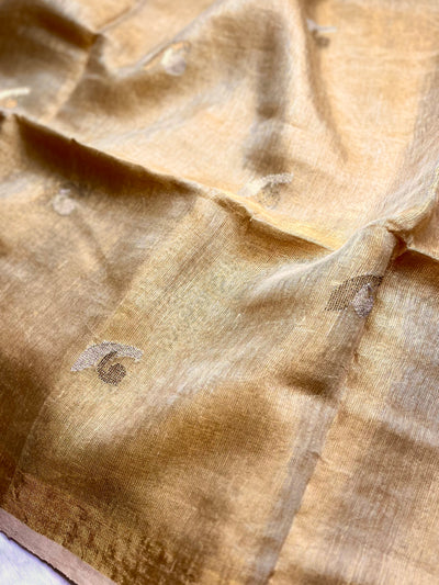 DIVA-Handwoven Metallic Linen Tissue Saree - Sandal Gold
