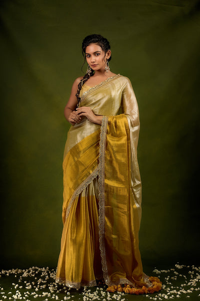 EXP - Ruhi - Handwoven Tissue Saree - Silver + Gold