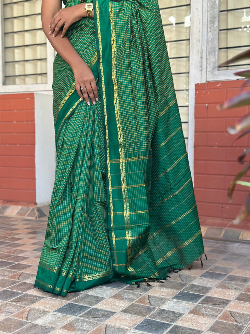 EXP - Chitralekha Green