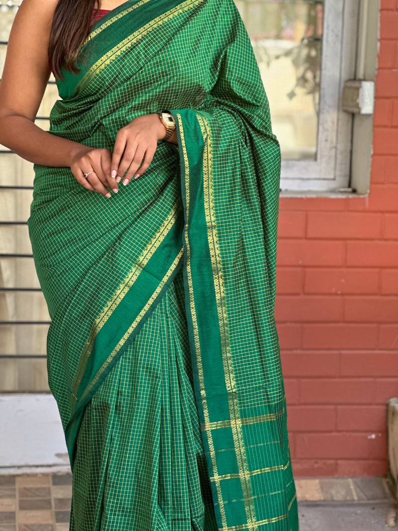 EXP - Chitralekha Green