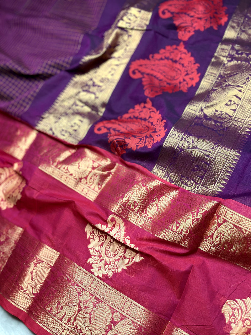 Kanchi Cotton Saree - Trendy Purple + Brilliant Rose