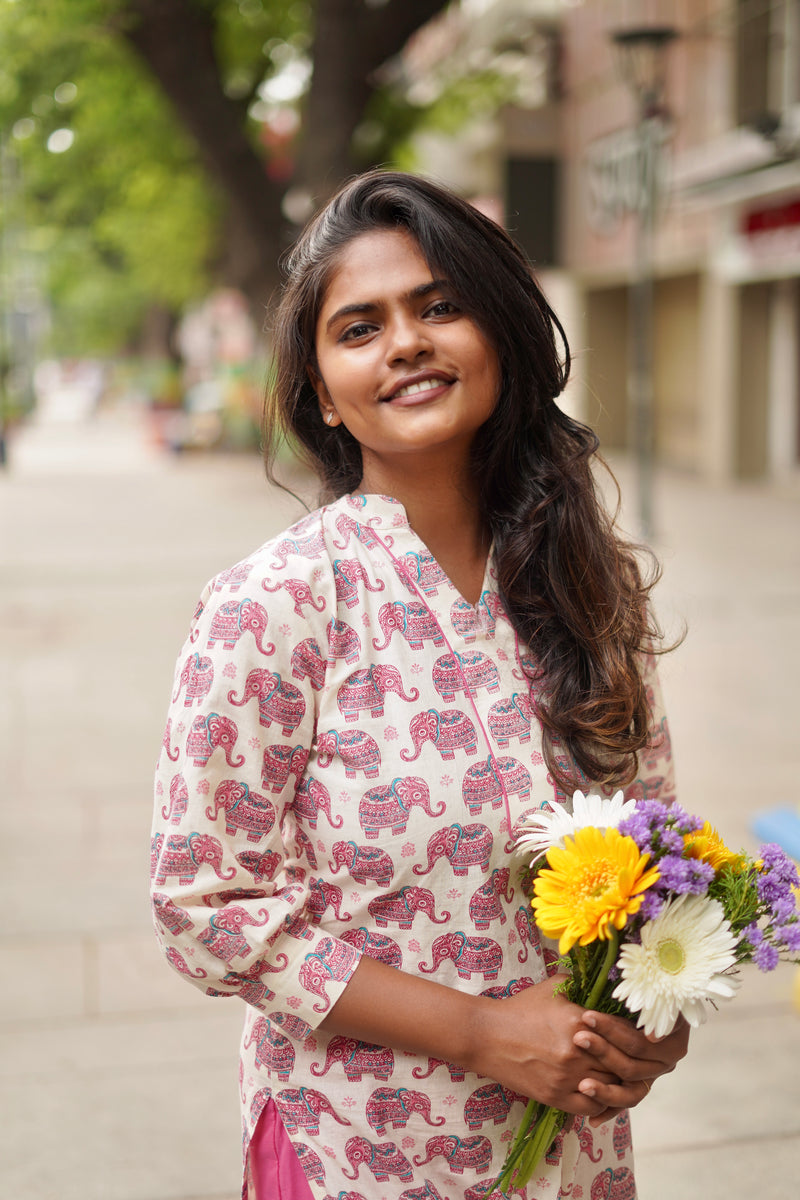 Aara - Hathi Hues Suit Set