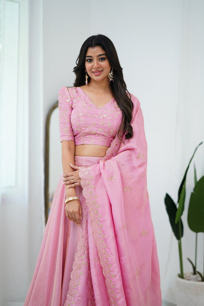 EXP - Zaara - Baby Pink Crop Top and Skirt