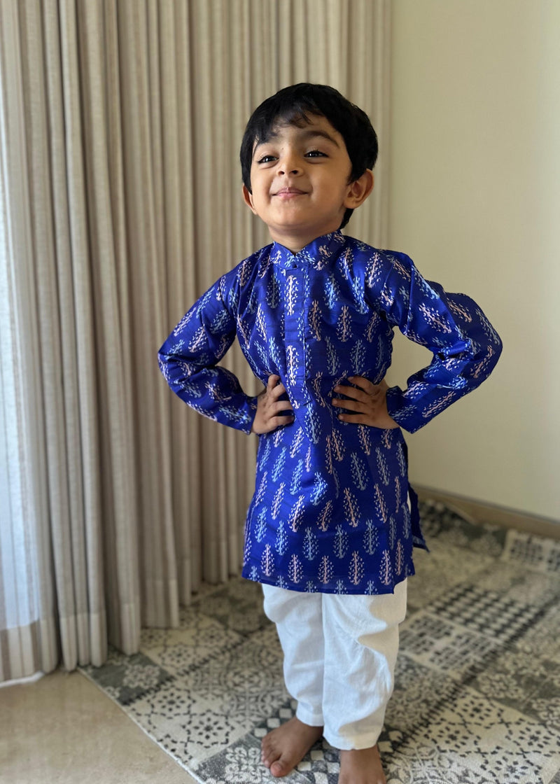 EXP - Krish - Blue ikat