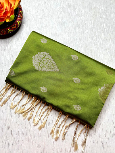 Soft Silk Saree  - Sushi Green + Quill Gray
