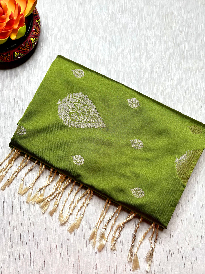 Soft Silk Saree  - Sushi Green + Quill Gray